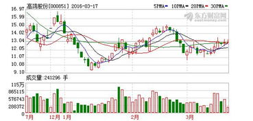 高鸿股份 教育信息化业务进入推广阶段，技术开发驱动软硬件协同